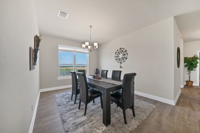 10700 Rock Bolt Drive, Aubrey, TX 76227