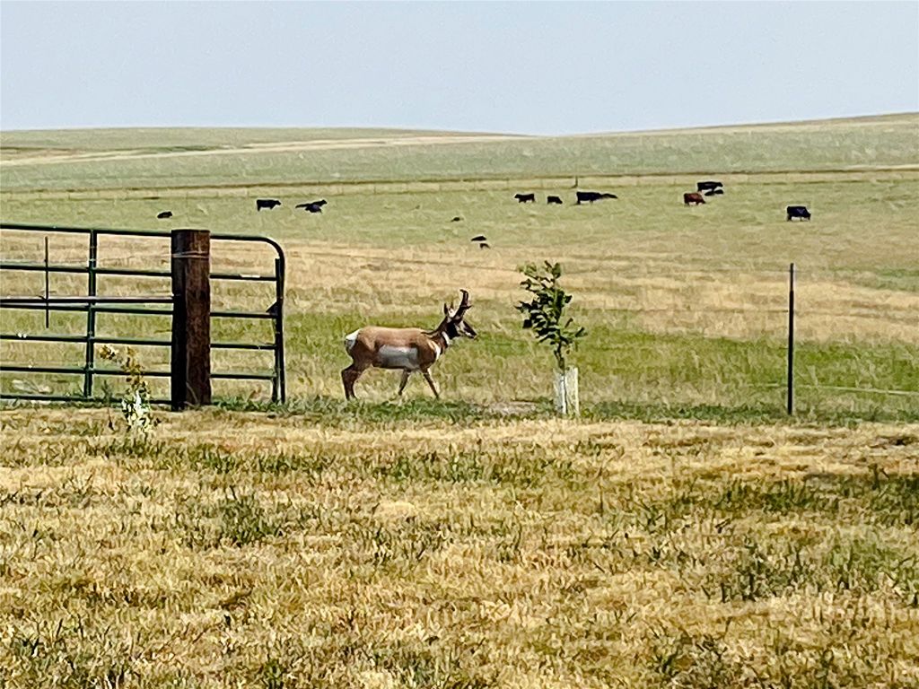 1018 Eden Road, Great Falls, MT 59405 photo 108