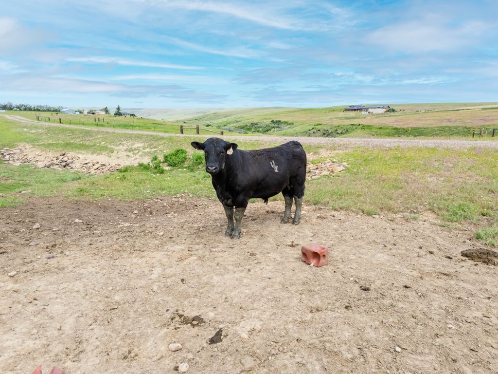 1018 Eden Road, Great Falls, MT 59405 photo 111