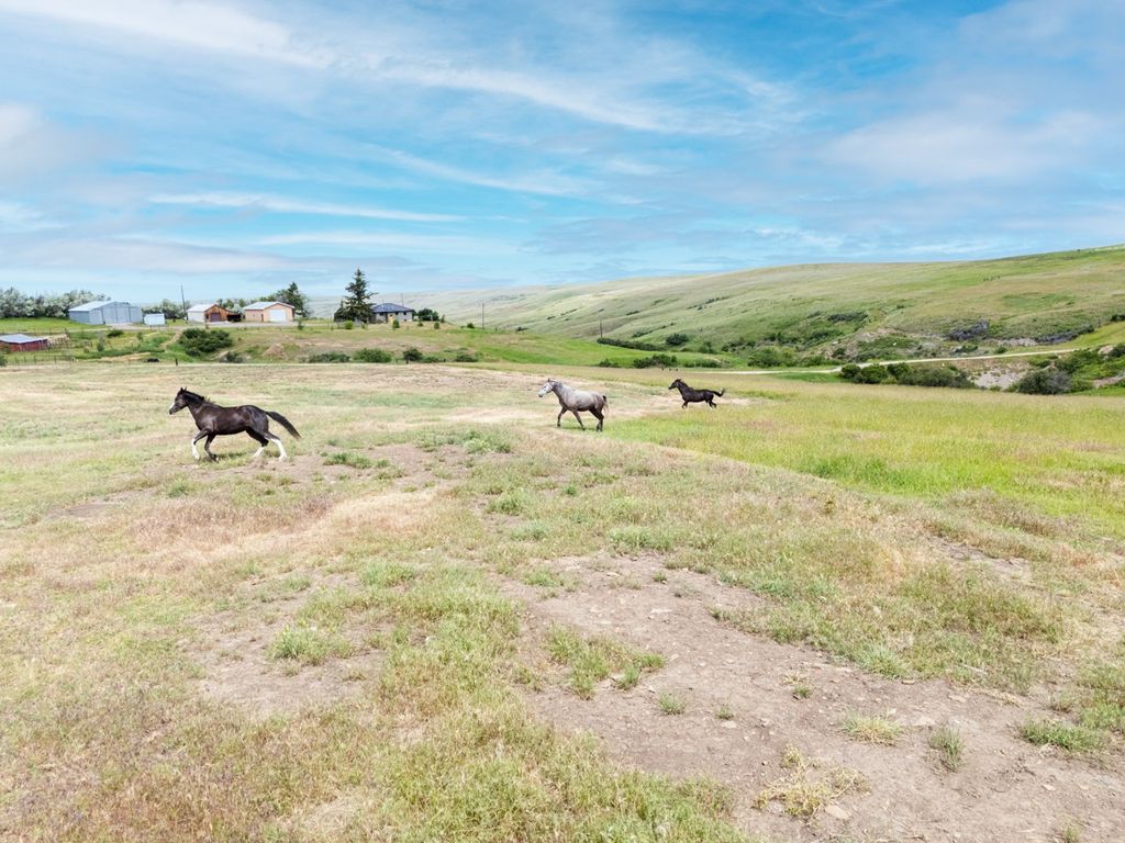 1018 Eden Road, Great Falls, MT 59405 photo 112