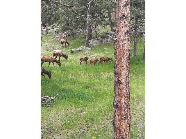 1715 Foothills Dr, Golden, CO 80401