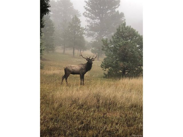 1715 Foothills Dr, Golden, CO 80401