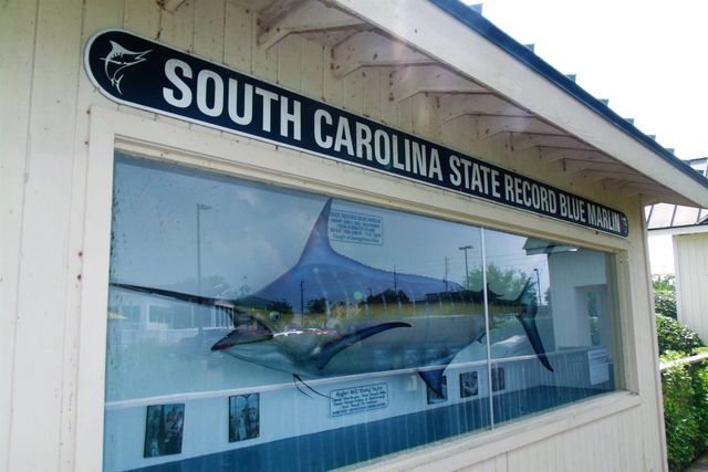 1050 Francis Parker Rd., Georgetown, SC 29440