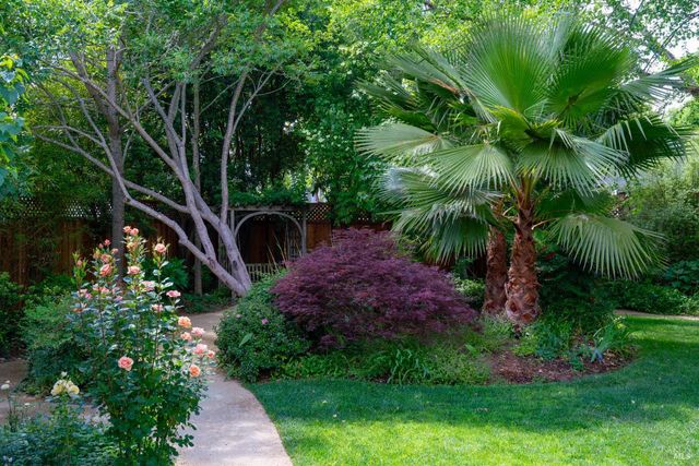 1330 Pine St, St. Helena, CA 94574