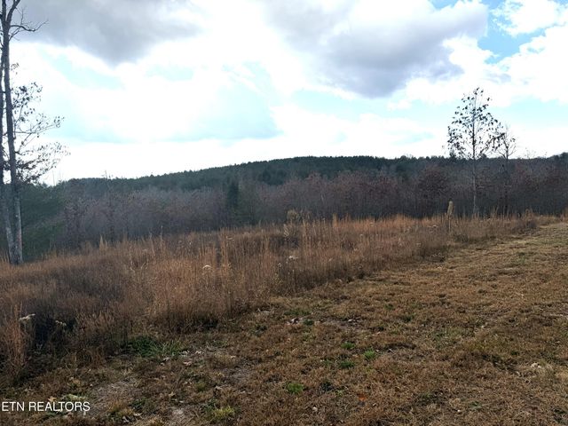 6.25 Acres Valerie Drive, Deer Lodge, TN 37726
