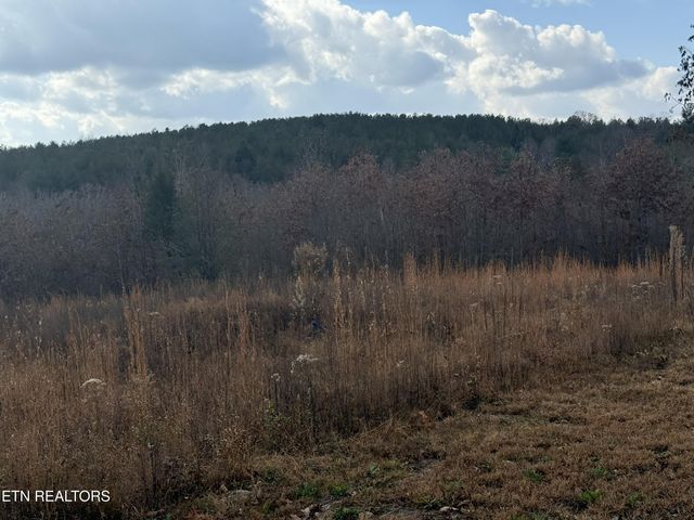 6.25 Acres Valerie Drive, Deer Lodge, TN 37726