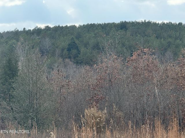 6.25 Acres Valerie Drive, Deer Lodge, TN 37726