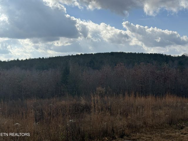 6.25 Acres Valerie Drive, Deer Lodge, TN 37726