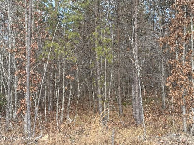 6.25 Acres Valerie Drive, Deer Lodge, TN 37726