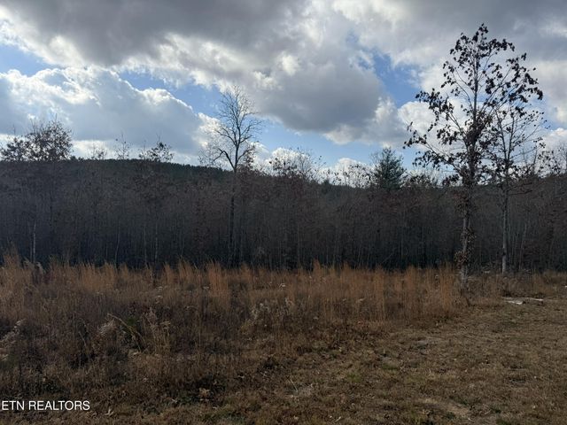 6.25 Acres Valerie Drive, Deer Lodge, TN 37726