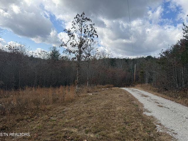 6.25 Acres Valerie Drive, Deer Lodge, TN 37726