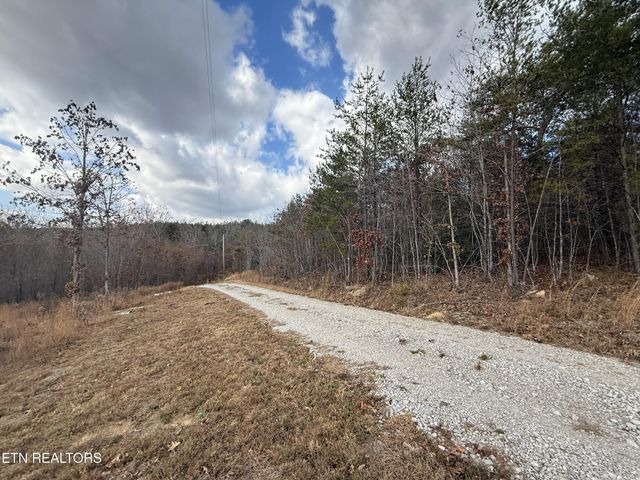 6.25 Acres Valerie Drive, Deer Lodge, TN 37726