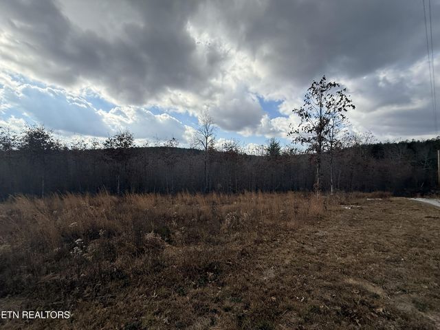 6.25 Acres Valerie Drive, Deer Lodge, TN 37726