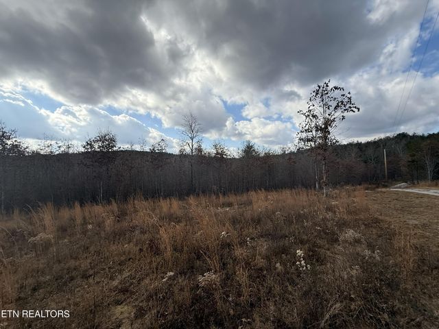 6.25 Acres Valerie Drive, Deer Lodge, TN 37726