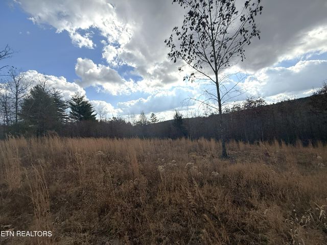 6.25 Acres Valerie Drive, Deer Lodge, TN 37726