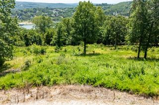 118 Whispering Hill Drive, Blue Eye, MO 65611
