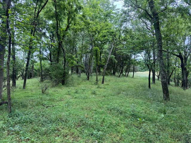4135 Big Andy Ridge Road Tract 9, Rogers, KY 41365