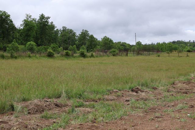 4135 Big Andy Ridge Road Tract 9, Rogers, KY 41365