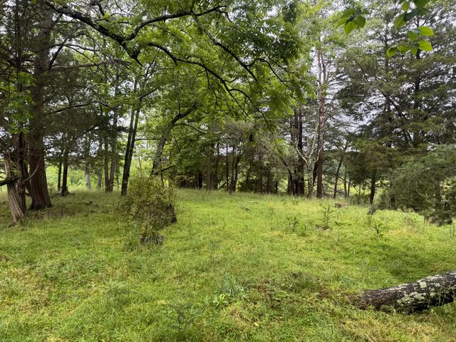 4135 Big Andy Ridge Road Tract 9, Rogers, KY 41365
