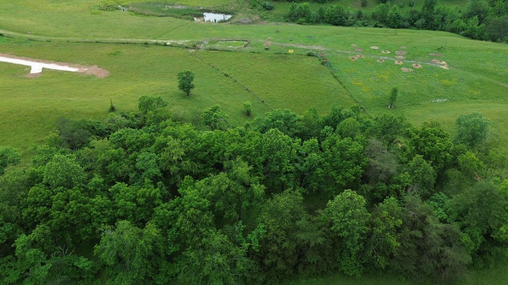 4135 Big Andy Ridge Road Tract 9, Rogers, KY 41365