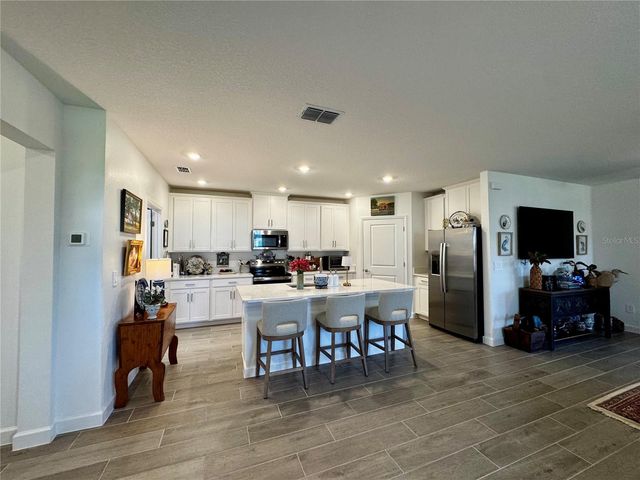 32040 GRIFFIN SANDS LN, San Antonio, FL 33576