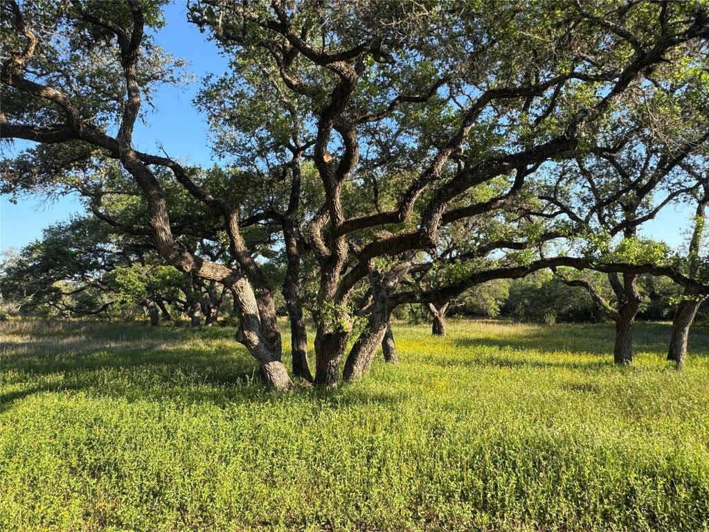 49 Shorebird Lane, Columbus, TX 78934