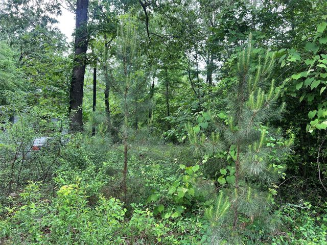 TBD Lot 22 Forester, Livingston, TX 77351