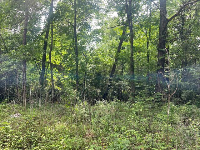 TBD Lot 22 Forester, Livingston, TX 77351