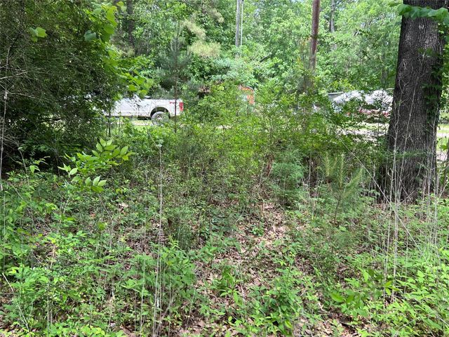 TBD Lot 22 Forester, Livingston, TX 77351