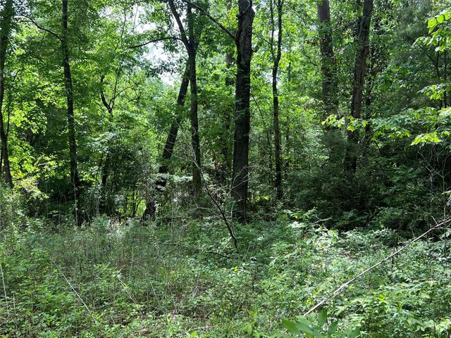 TBD Lot 22 Forester, Livingston, TX 77351
