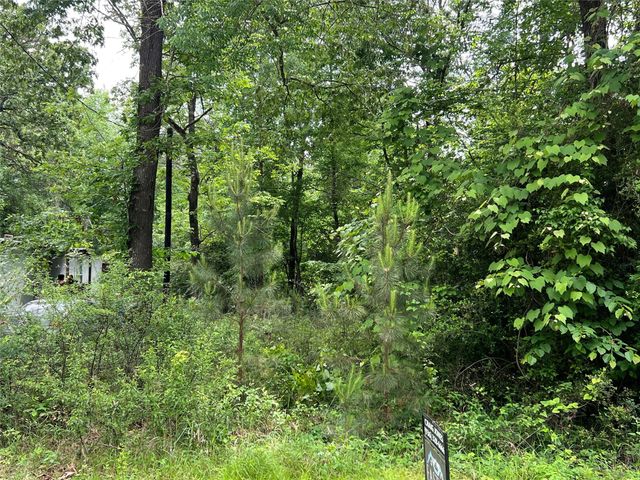 TBD Lot 22 Forester, Livingston, TX 77351