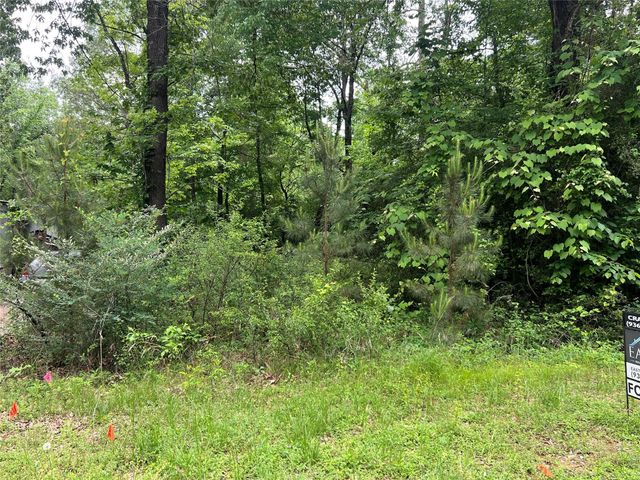 TBD Lot 22 Forester, Livingston, TX 77351