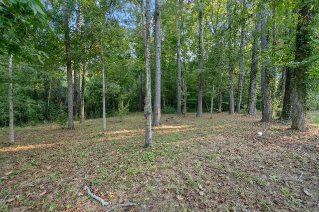 201 Harbor Run Drive, Coldspring, TX 77331