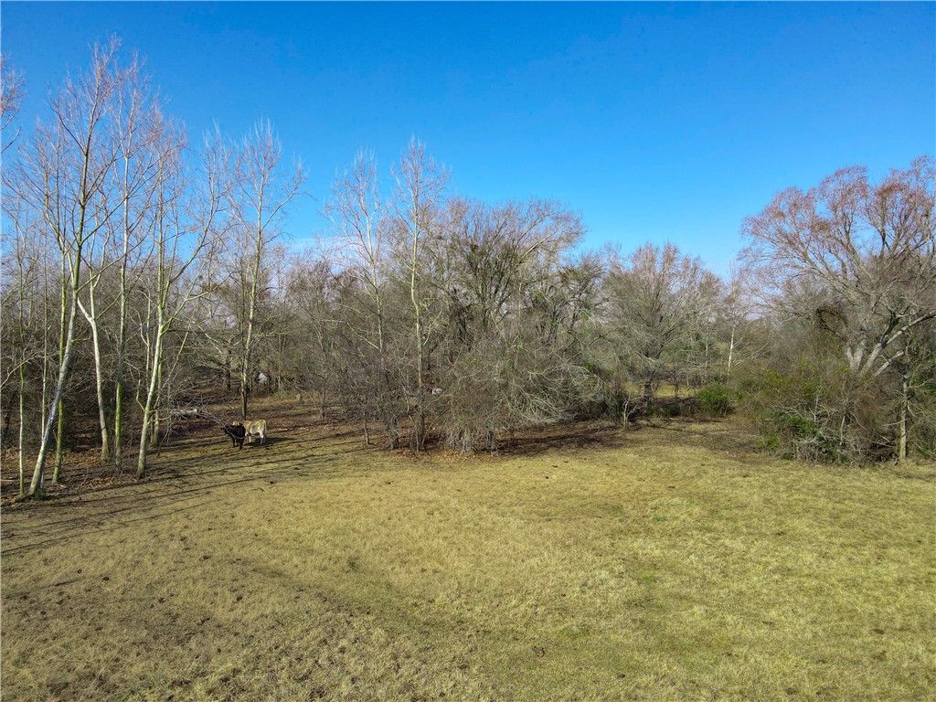 TBD S Fm-46, Franklin, TX 77856 — photo 5