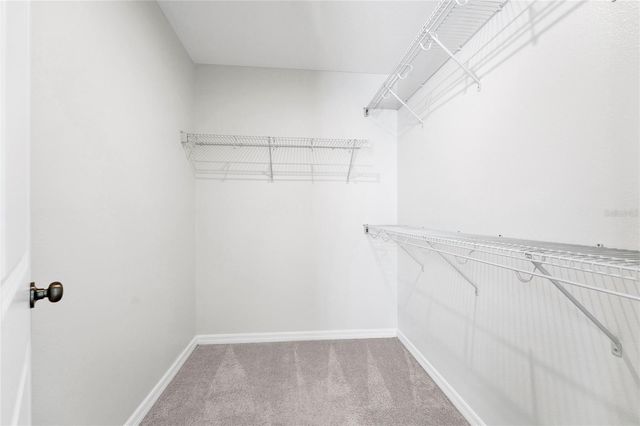 3800 FESCUE STREET, Clermont, FL 34714