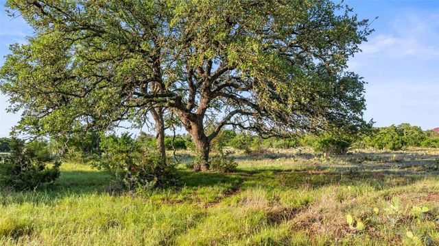 Lot 4 Vista Ridge DR, Round Mountain, TX 78663