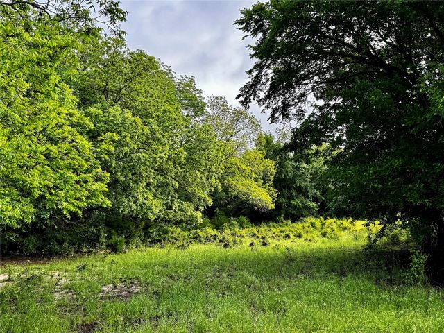 16 ACRES FM 1655 CR-1460, Chico, TX 76431