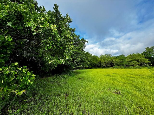 16 ACRES FM 1655 CR-1460, Chico, TX 76431