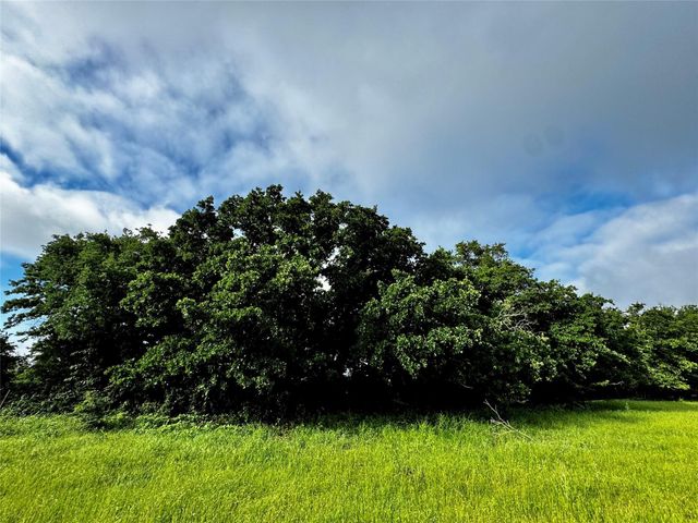 16 ACRES FM 1655 CR-1460, Chico, TX 76431