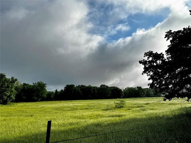 16 ACRES FM 1655 CR-1460, Chico, TX 76431
