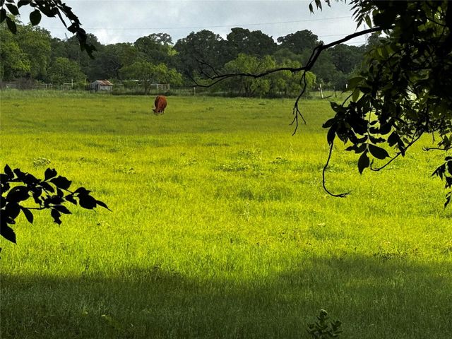 16 ACRES FM 1655 CR-1460, Chico, TX 76431