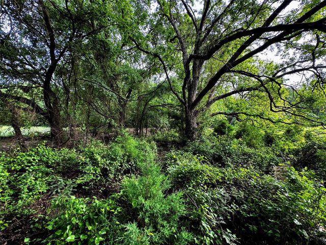 16 ACRES FM 1655 CR-1460, Chico, TX 76431