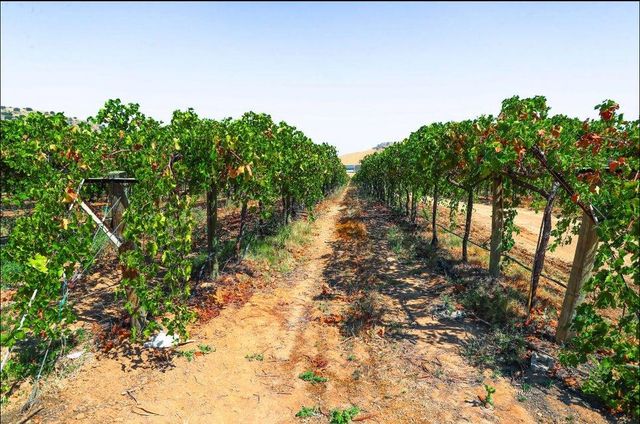 E Olive Ave Avenue, Porterville, CA 93257