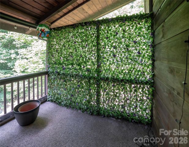 420 Nathan McDaniel Drive, Nebo, NC 28761