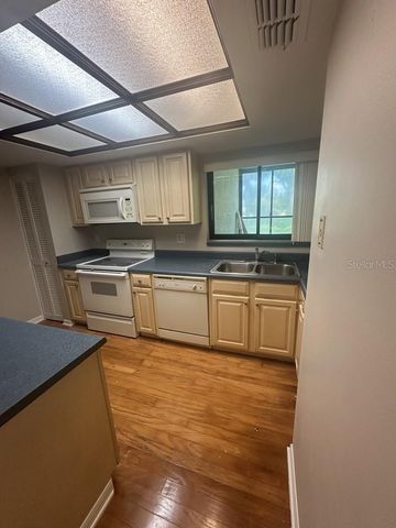 13046 VILLAGE CHASE CIRCLE 13046, Tampa, FL 33618