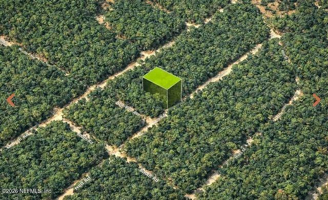0 NELL Road, Interlachen, FL 32148