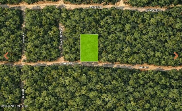 0 NELL Road, Interlachen, FL 32148