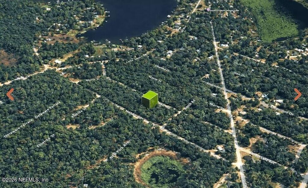 0 NELL Road, Interlachen, FL 32148