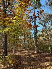 0 Theodore Cox Circle, Canton, GA 30114