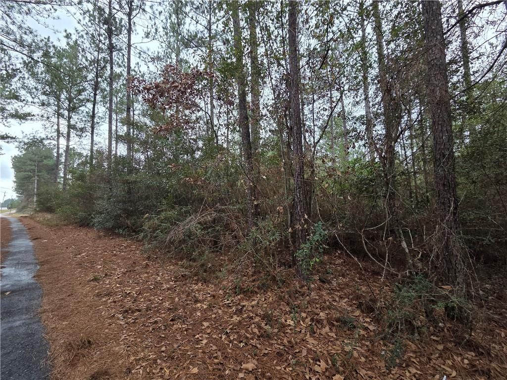 0 Highway 45, Chunchula, AL 36521 — exterior